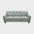 Sage Green Leather Couch